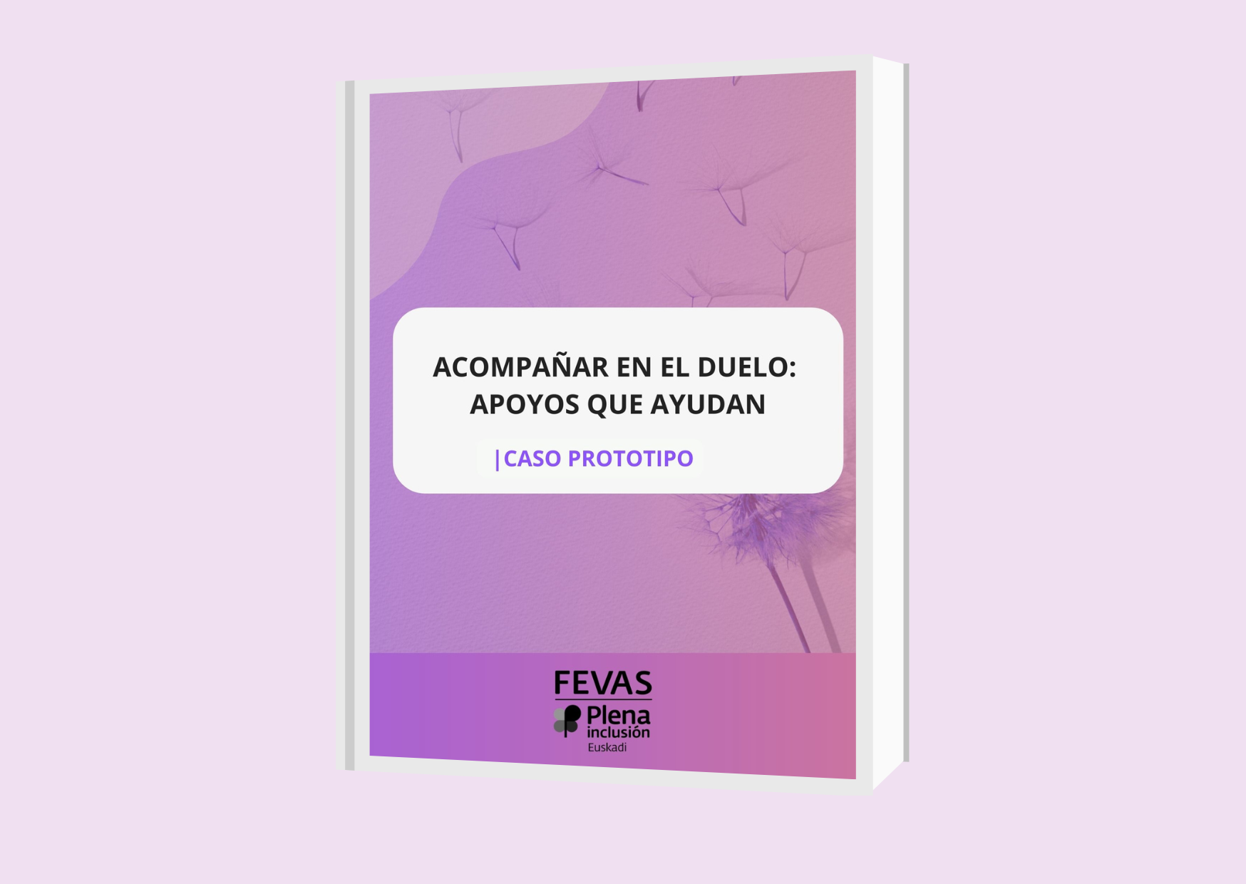 FEVAS publica un nuevo caso prototipo “Acompañar en el duelo: apoyos que ayudan”